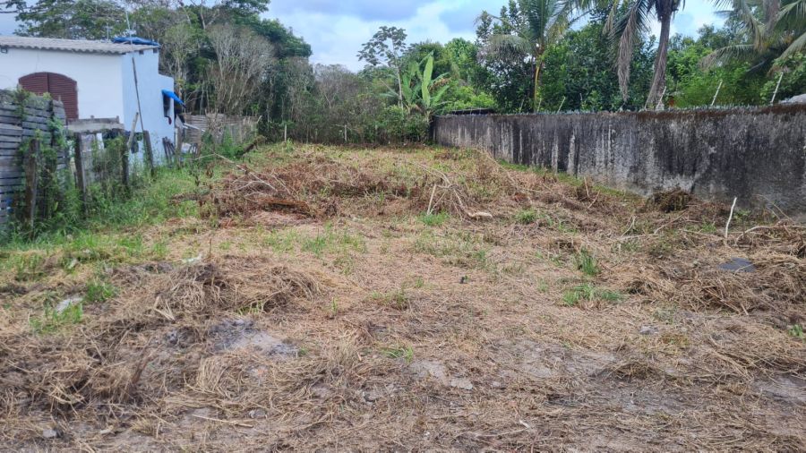 Terreno - Venda - Gaivota (interior) - Itanha�m - SP